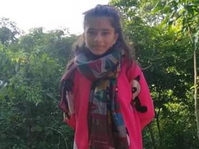 ठोकतन्त्र