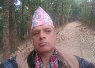 बाकी छोरी !