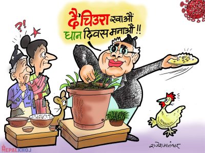 गमलामा धान राेप्दै कृषि क्रान्ति गराैँ कमरेड !!?