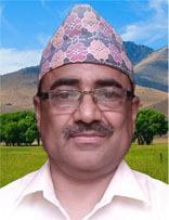 chiranjibi.dahal