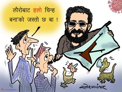 हलो काटी मुङ्ग्रो भन्थे, हलो काटी लौरो पो भएछ कि क्या हो ?!