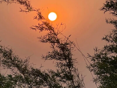 नयाँ वर्षको हार्दिक शुभकामना ! नयाँ वर्षको हार्दिक शुभकामना !