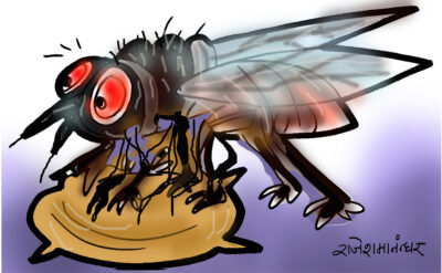 भन्किएका झिँगाहरू !