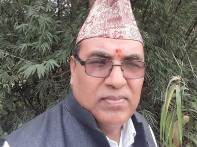 साइनोका आठ फाँका