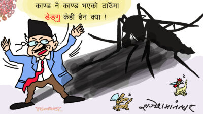 यत्रा काण्डैकाण्ड भैरहेको बेला !! ह्या, जाबो डेङ्गु त क्यै हैन क्या !?