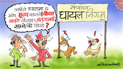 नेपालीलाई जहिलेसुकै हायल कायल पार्ने नेपाल घायल निगम !?