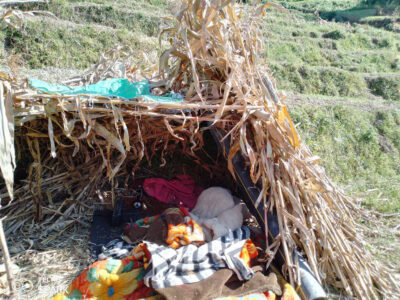 के यो देशमा सरकार छ ? के यो देशमा सरकार छ ?