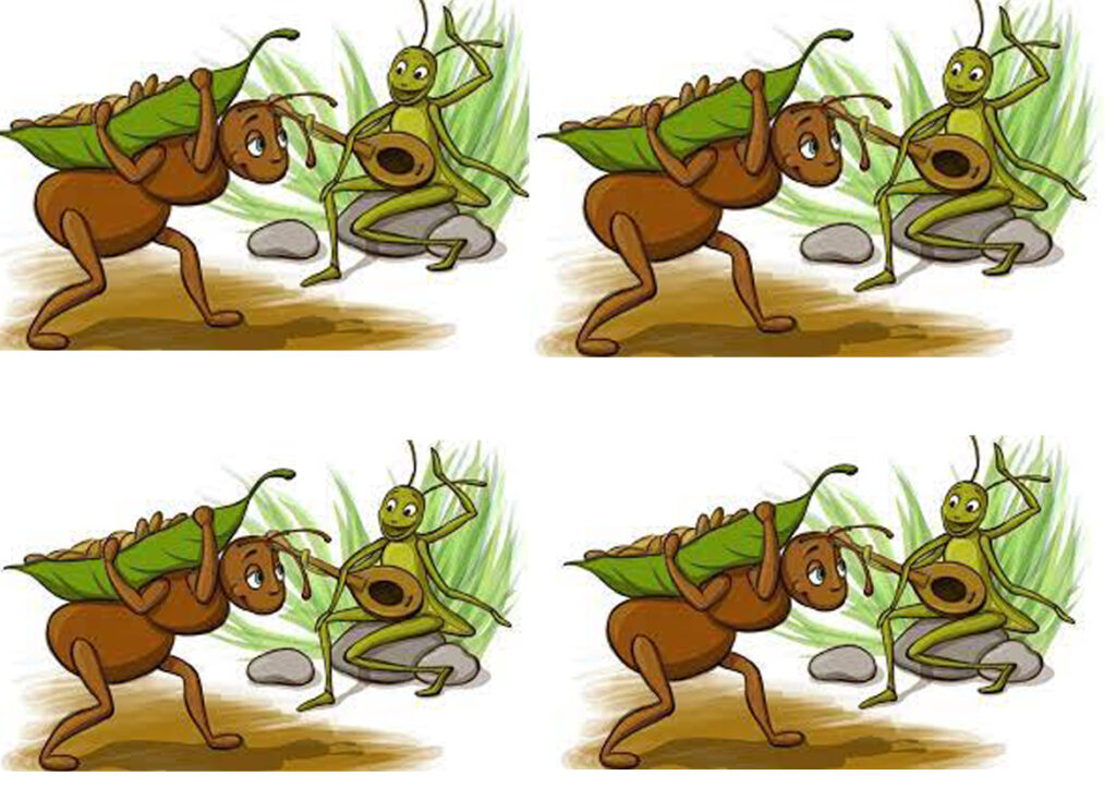 Fatyangra Insect फट्याङ्ग्राको मेला – Fitkauli