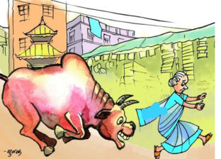 गोरुजुध्ने जात्रा