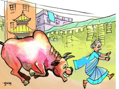 शब्दलाई सलाम ठोक्न