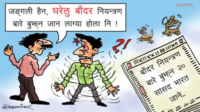 बाँदर नियन्त्रण अभियानमा सङ्ख्या अलि थोरै भो अझै थपौँ कि !!