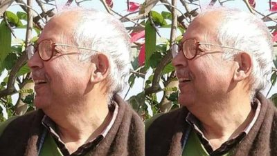 मुखालेका कवितामा व्यङ्ग्यात्मकता