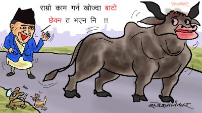 साँढेज्यूको काम त्यही त हो नि ! ढसमस्स बसेर वा उठेर बाटो छेक्ने !?