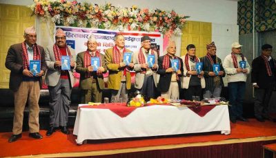 ‘बोल्दैन फोटो’ कृतिमाथि अन्तर्विमर्श