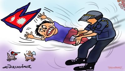 झण्डाः वितण्डा