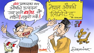 आदेश दिए भैहाल्छ त, बजेट किन चाहियो ? बजेट त भ्युटावरतिर !!