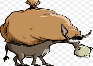 गधा फेर्ने उत्सव