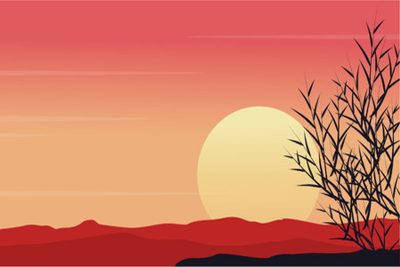 मेरो छ है स्वागत