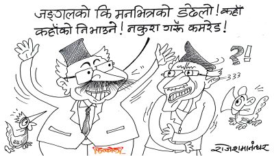 डढेलोको मौसम ! जङ्गलकाे डढेलो त निभाउँला, मनभित्रको डढेलो कसरी निभाउने ?!