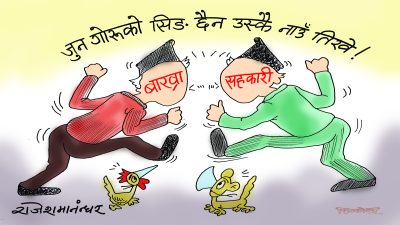 सिङ नभएका तिखेहरू जुधेर हामीलाई राम्रै मनोरञ्जन दिँदैछन् !?