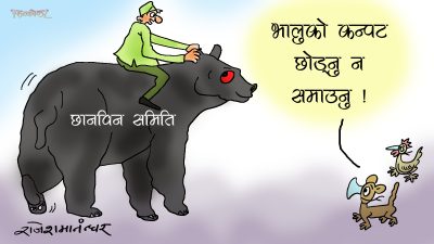 हो, भालुकै कन्पट भयो ! छाडौँ उसैले खान्छ, समातिराखौँ कहिलेसम्म ?!