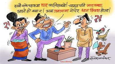 कृषिप्रधान देशको असार पन्द्र ! गमलामा रोपेर धान दिवस जिन्दावाद !?