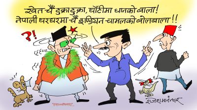 खेतजति सबै प्लटिङ, क्या नेपाली चाला ! धानको बिउ घाँटीमा माला !?