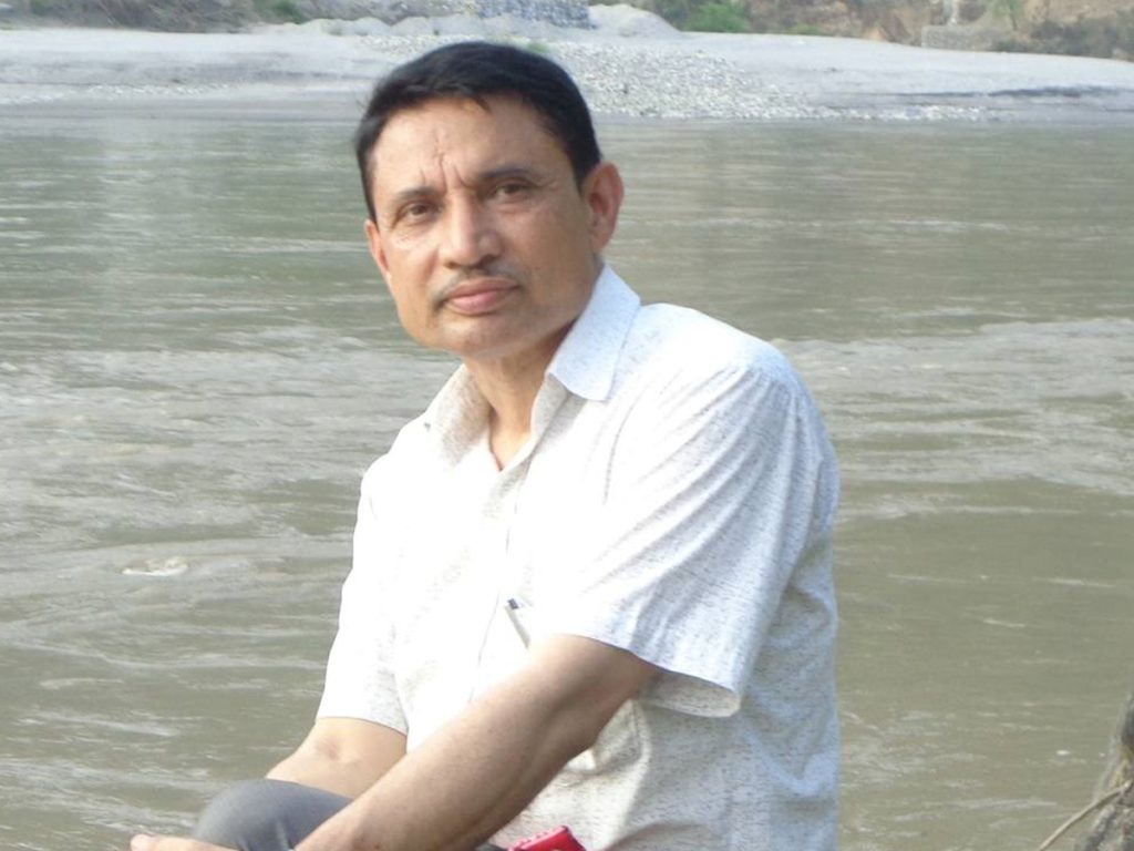 गालीको बाली