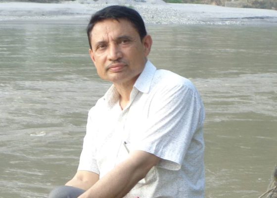 गालीको बाली