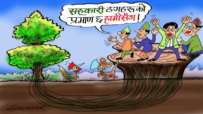 हो हो ! ठगी प्रमाणको ठाडो रुख र यसका जरा कता कता पुगेका रहेछन् सबै थाहा भइसक्यो !?