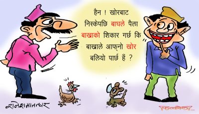 बाघ र बाख्रा अनि शिकार र खोर ! अब यिनको नयाँ भाष्य निर्माण गरौँ त भाषाविद्हरू ! तागत छ ?!