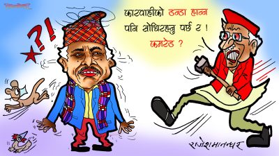वितण्डा मचाउनेहरूलाई यसरी डण्डा हानेको हान्यै नगरी पार्टीको झण्डा कसरी उँचो हुन्छ त भन्या ?!