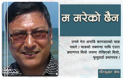 नाच भालु नाच