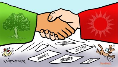 यो त हामी दुईको मिलिजुली अध्यादेश अर्थात आदेश हो ! यसलाई नमान्ने काेही छ ?!