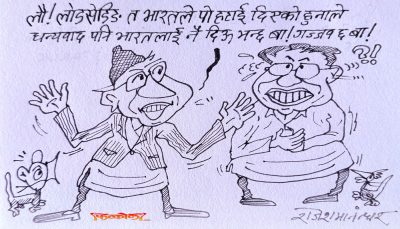 लोडसेडिङ हटाइदिने भारतलाई धन्यवाद मात्र दिएर पुग्दैन, सेवाढोग पनि थपौँ मन्त्रीज्यू !?
