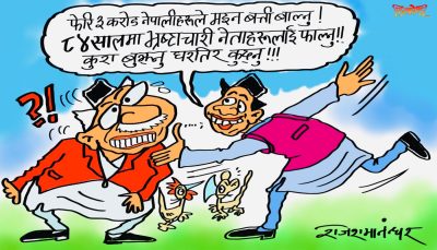सरकारसँग ऋण लिएर प्राधीकरणले मैनबत्ती उद्योग खाेले ट्रिपल नाफा हुने पक्का !?