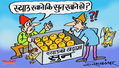 स्याउको बट्टामा सुन नै फल्न थालेपछि नेपाल कसरी गरिब देश रह्यो त गाँठे ?!