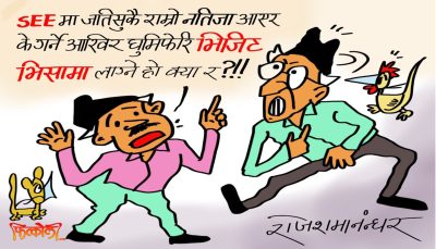 एसइइ नतिजाको प्रतिशत कहाँ बढेको हो र ? भिजिट भिसाको लाइन पो बढेको त !?