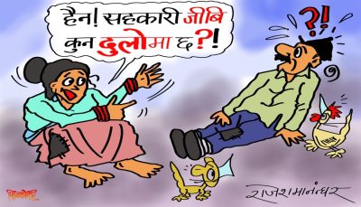 सहकारीको अन्न खाएर माेटाएका ढाडेहरूले नै जीबीलाई दुलोमा लुकाएका हुन् रे त बुढी !?