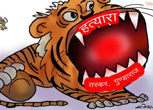 गाईजात्रे सम्मान पो सम्मान !