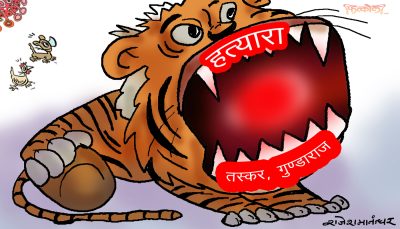 गाईजात्रे सम्मान पो सम्मान !