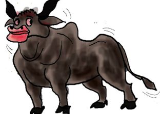 डियर माईजात्रा ! डियर माईजात्रा !