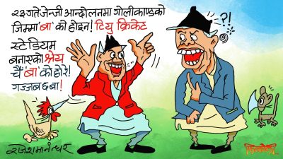 बिग्रेको भत्केको नस्टविनस्ट भएको जिम्मा कुन मुर्खले लिन्छ त ? कुरो नबुझी ट्याइँट्याइँ !?