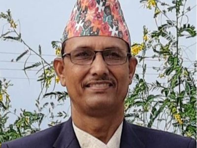 हामी हामी