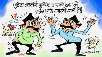 अबको हाम्रो समस्त राजनीति गुईंठा केन्द्रित हुने भएछ कि क्या हो ?!