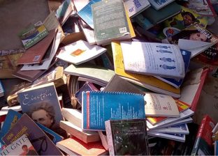 साहित्यिक होली