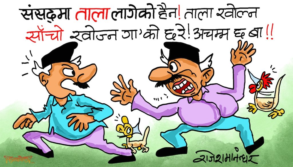 संसदको ढाेकामा ताला लगाएर सरकार त अध्यादेशको साँचो खोज्दै हिँडेको पो रहेछ ?!