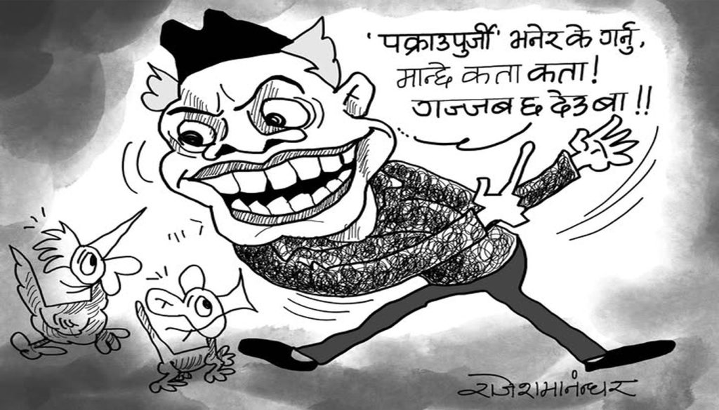 हैन क्या, त्याे पक्राउपूर्जी सिंगापुर, अम्रिकातिर पनि पुग्छ कि यतै ढुकेर बस्छ ?!