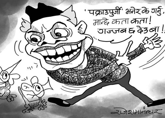 हैन क्या, त्याे पक्राउपूर्जी सिंगापुर, अम्रिकातिर पनि पुग्छ कि यतै ढुकेर बस्छ ?!