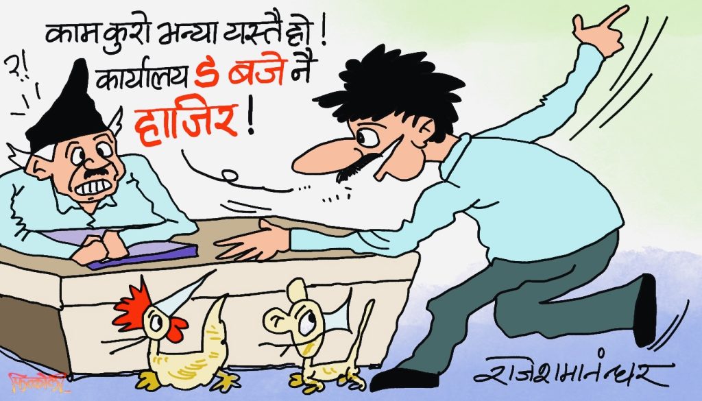 के दशा आइलाग्या हाे याे ? हातमा टाेपी लिएर दगुर्दै ९ बजे अपिस ?!